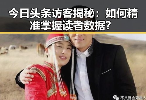 今日头条访客揭秘：如何精准掌握读者数据？