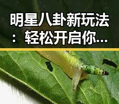 黑料爆料吃瓜社区-全面掌握最新娱乐幕后猛料