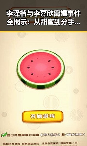李泽楷与李嘉欣离婚事件全揭示：从甜蜜到分手的时间线回顾