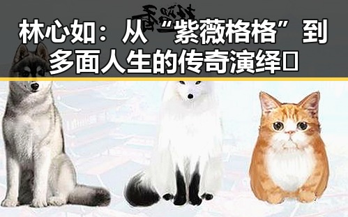 林心如:从“紫薇格格”到多面人生的传奇演绎✨
